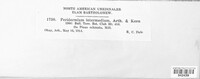 Image of Peridermium intermedium